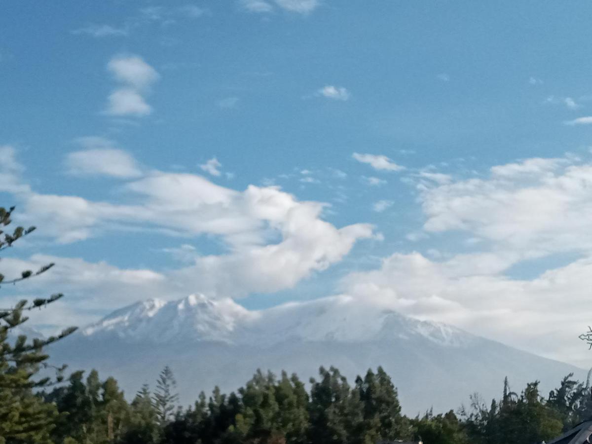 El Monarca Arequipa Hotel Eksteriør billede